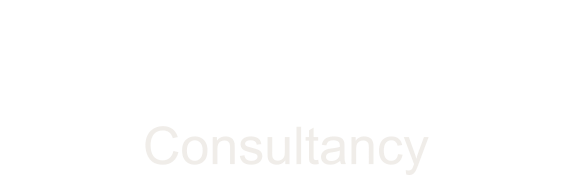 EVUE - Digital Consultants
